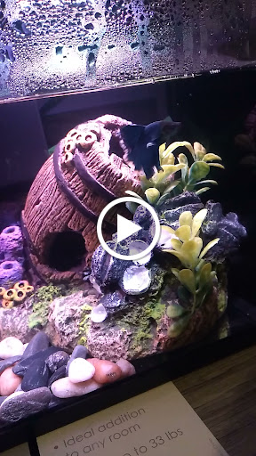 Pet Supply Store «PetSmart», reviews and photos, 157 Levittown Pkwy B, Levittown, PA 19055, USA