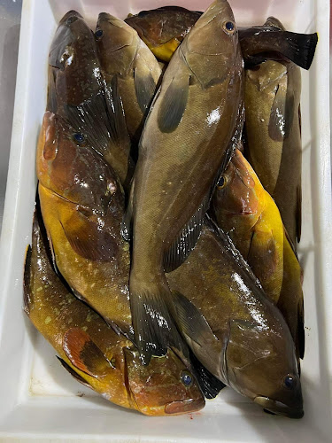 Giousouro Ανοιχτές ώρες