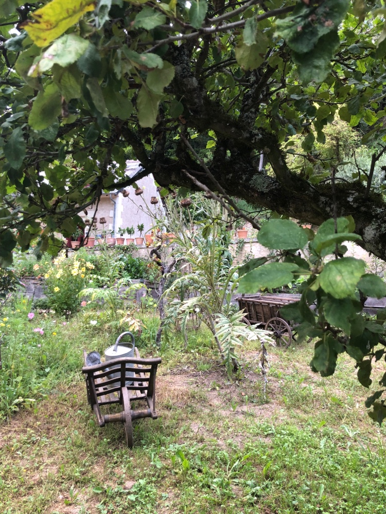 Photo n° 21 de l'avis de G.r fait le 22/08/2021 à 21:03