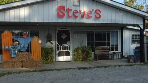 Steve's Pizza 43101