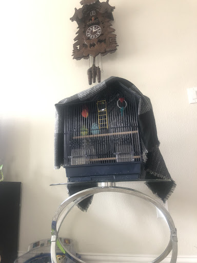 Pet Supply Store «Petco Animal Supplies», reviews and photos, 8700 Preston Rd #105, Plano, TX 75024, USA