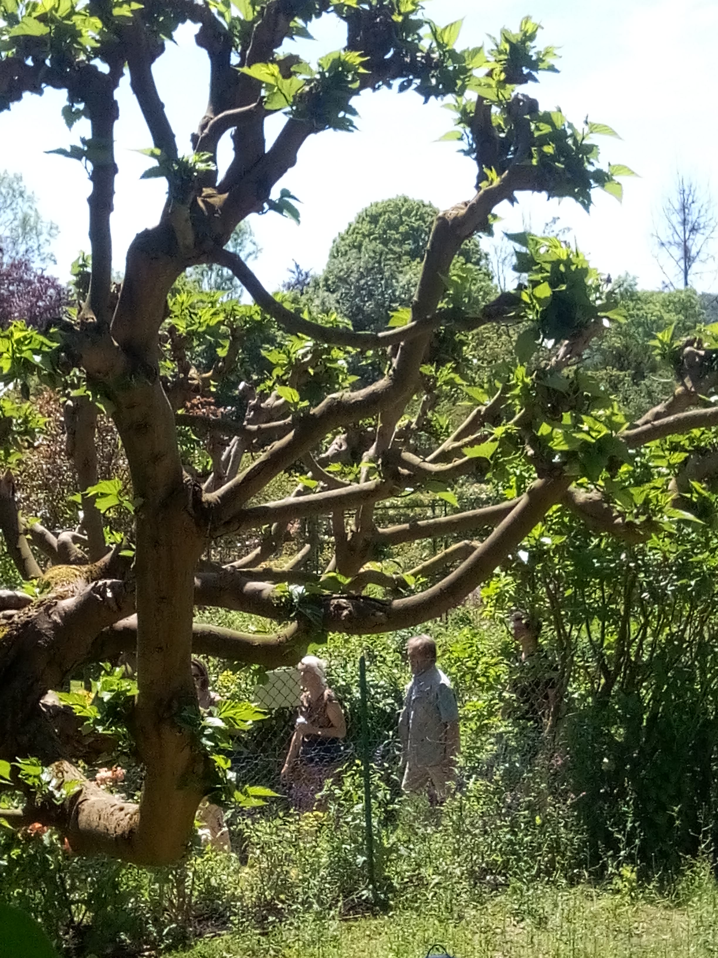 Photo n° 10 de l'avis de M. fait le 02/06/2019 à 08:14