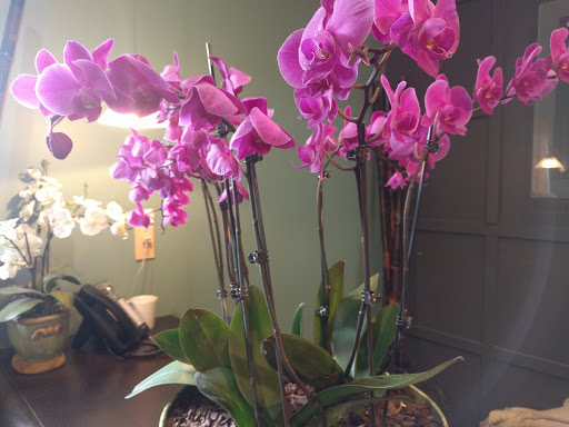 Seafood Restaurant «Dockers Restaurant», reviews and photos, 3505 Marina View Point, Muskegon, MI 49441, USA