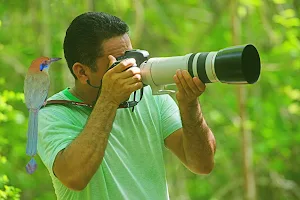 Birding tours Huatulco Oaxaca. image