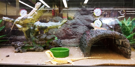 Pet Supply Store «Petco Animal Supplies», reviews and photos, 2345 Market Pl Blvd, Cumming, GA 30041, USA