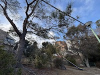 苦楽園六番公園