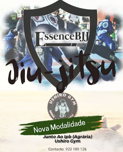 Essence BJJ - Academia