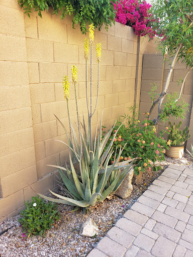 Golf Club «Verrado Golf Club», reviews and photos, 4242 N Golf Dr, Buckeye, AZ 85396, USA