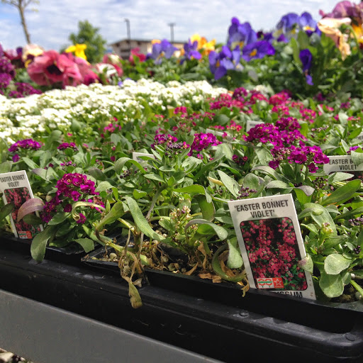 Hardware Store «Johnsons Home & Garden», reviews and photos, 26625 Maple Valley Black Diamond Rd SE, Maple Valley, WA 98038, USA