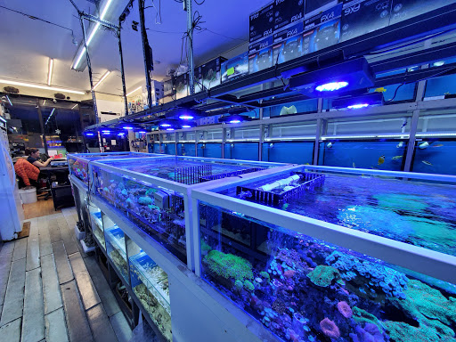 Tropical Fish Store «BluReef Aquarium», reviews and photos, 2198 Flatbush Ave, Brooklyn, NY 11234, USA