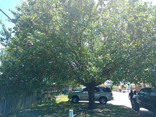 Tire Shop «Discount Tire Store», reviews and photos, 413 E Loop 281, Longview, TX 75605, USA