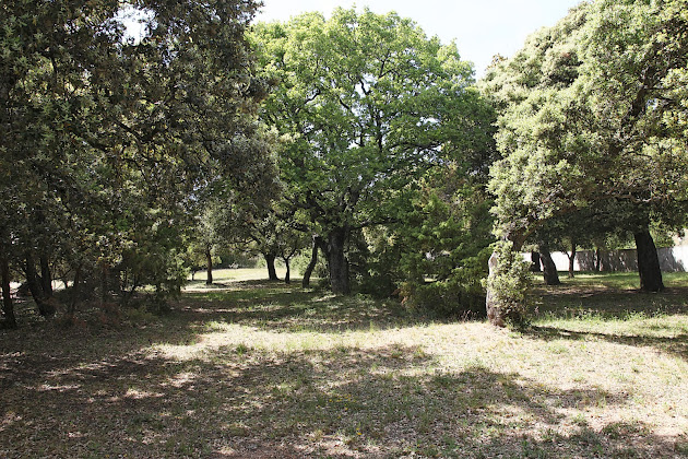 Photos du propriétaire Agence de location d'appartements APPARTEMENT LES LAURIERS ROSES 84400 Rustrel