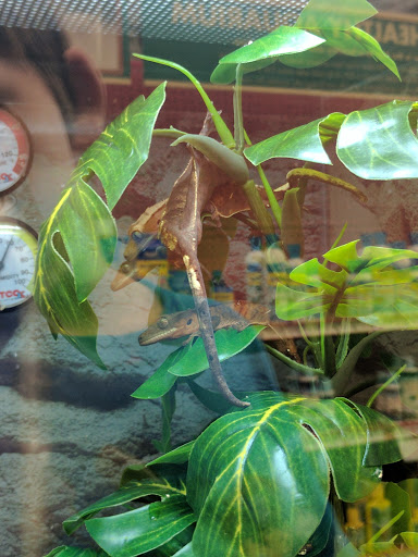 Pet Supply Store «Petco Animal Supplies», reviews and photos, 92 Cluff Crossing Rd, Salem, NH 03079, USA