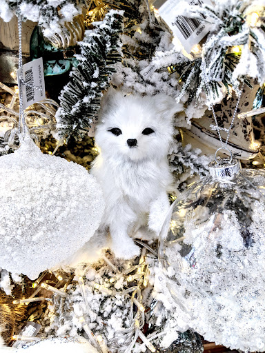 Florist «C J Lilly & Company», reviews and photos, 128 W Mulberry St, Collierville, TN 38017, USA