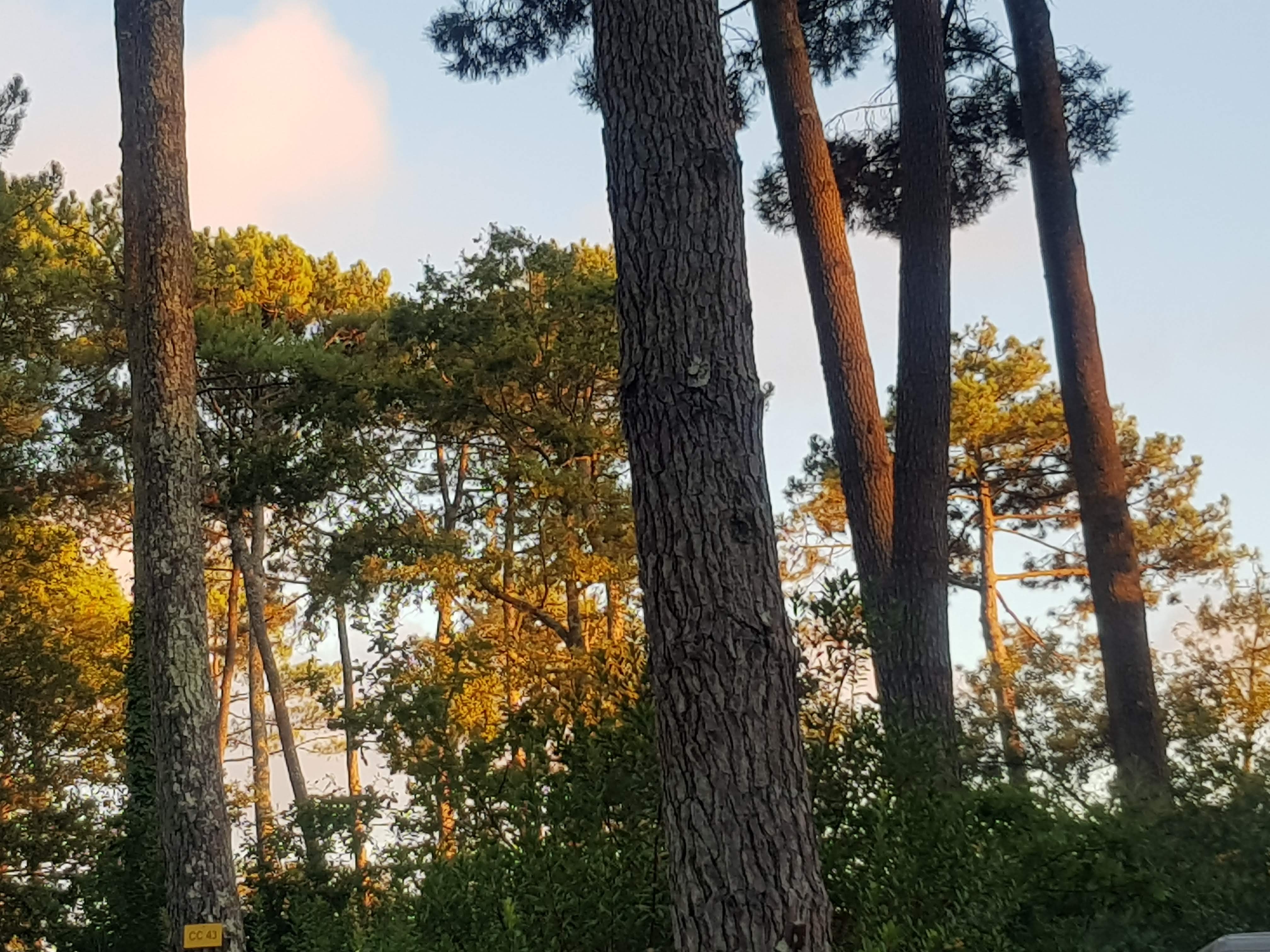Photo n° 2 de l'avis de Ralf.c fait le 23/09/2018 à 07:16