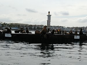 Seaside Lagoon - photo 68
