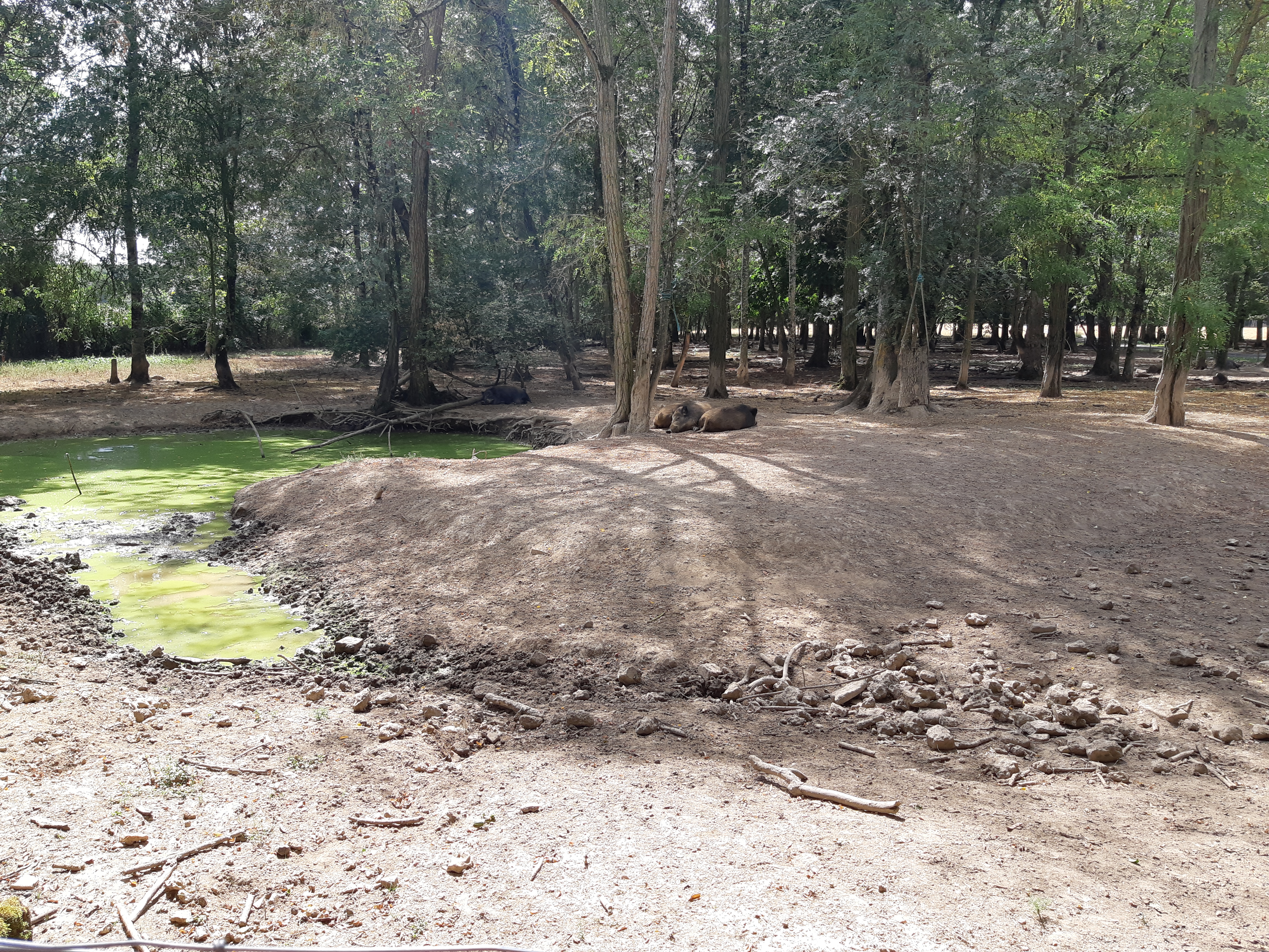 Photo n° 1 de l'avis de Carla.a fait le 10/08/2018 à 15:54