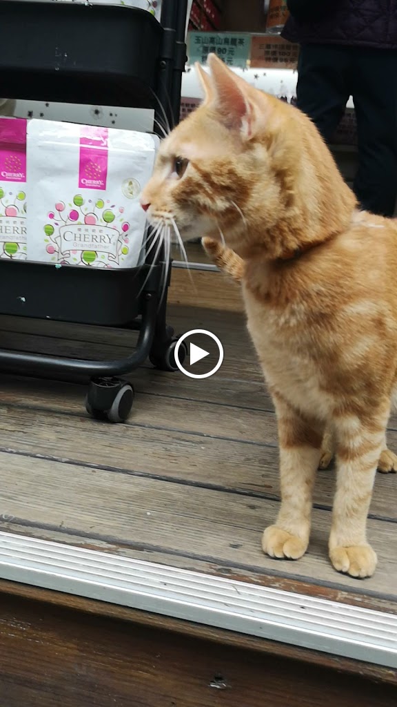 Master Of Tea 花茶大師中壢中原店 的照片