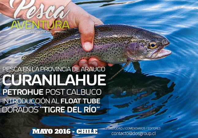 Opiniones de Caza y Pesca DIMANOV en Curanilahue - Tienda