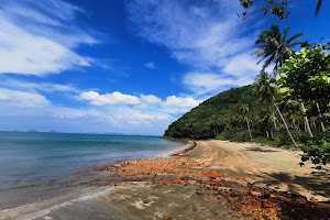 Coconut Beach image