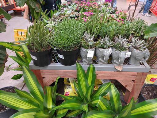 Stores to buy artificial plants Denver