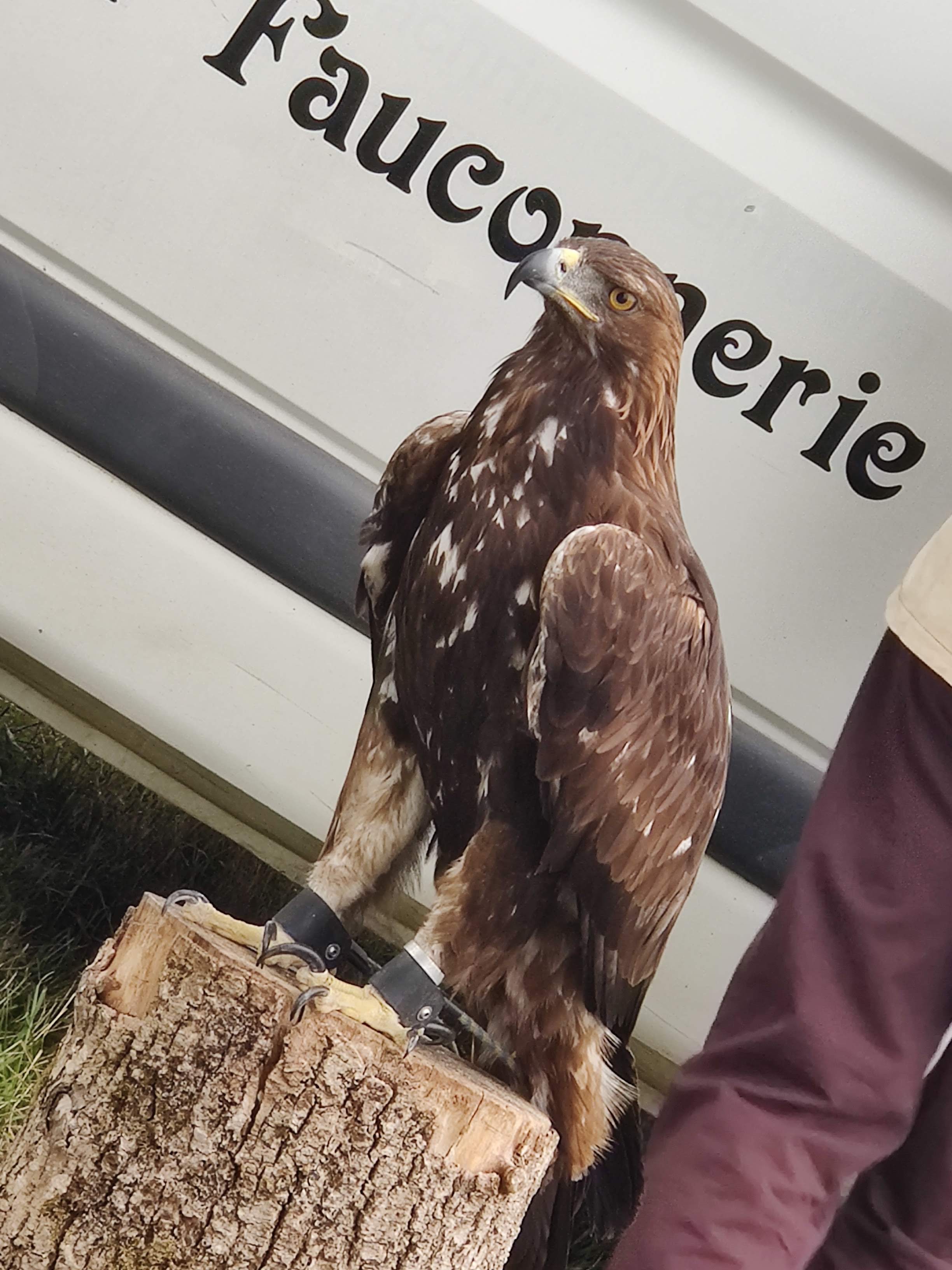 Photo n° 12 de l'avis de Jérome.e fait le 11/08/2019 à 20:31