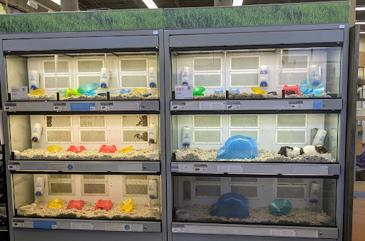 Pet Supply Store «Petco Animal Supplies», reviews and photos, 12444 NW 10th St #301, Yukon, OK 73099, USA