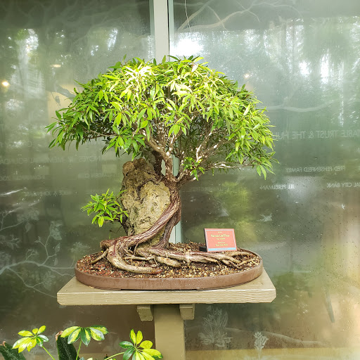 Botanical Garden «White River Gardens», reviews and photos, 1200 W Washington St, Indianapolis, IN 46222, USA