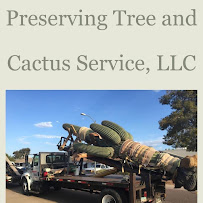 Preserving Tree and Cactus Service, LLC - Photo 5 - Car repair in Wittmann, AZ, Surprise