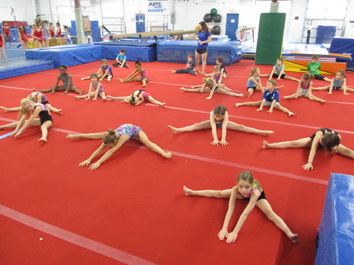 Gymnastics Center «St Louis Gymnastics Center», reviews and photos, 315 W Pacific Ave, Webster Groves, MO 63119, USA