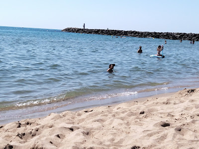 Plage Vendres à Vendres
