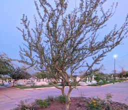 Pbro. Jaime Salcido Lizarraga Park photo