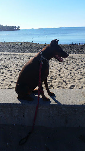 Park «Lyons Park», reviews and photos, Lothrop St, Beverly, MA 01915, USA