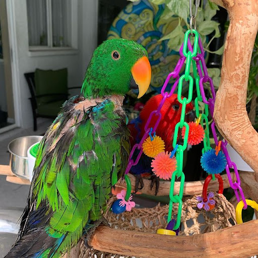 Pet Store «Pet Source 1901», reviews and photos, 1901 W 8th St B, Los Angeles, CA 90057, USA