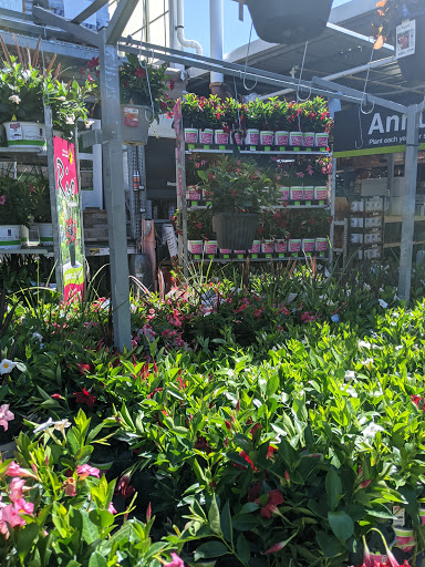 Home Improvement Store «The Home Depot», reviews and photos, 782 PA-113, Souderton, PA 18964, USA