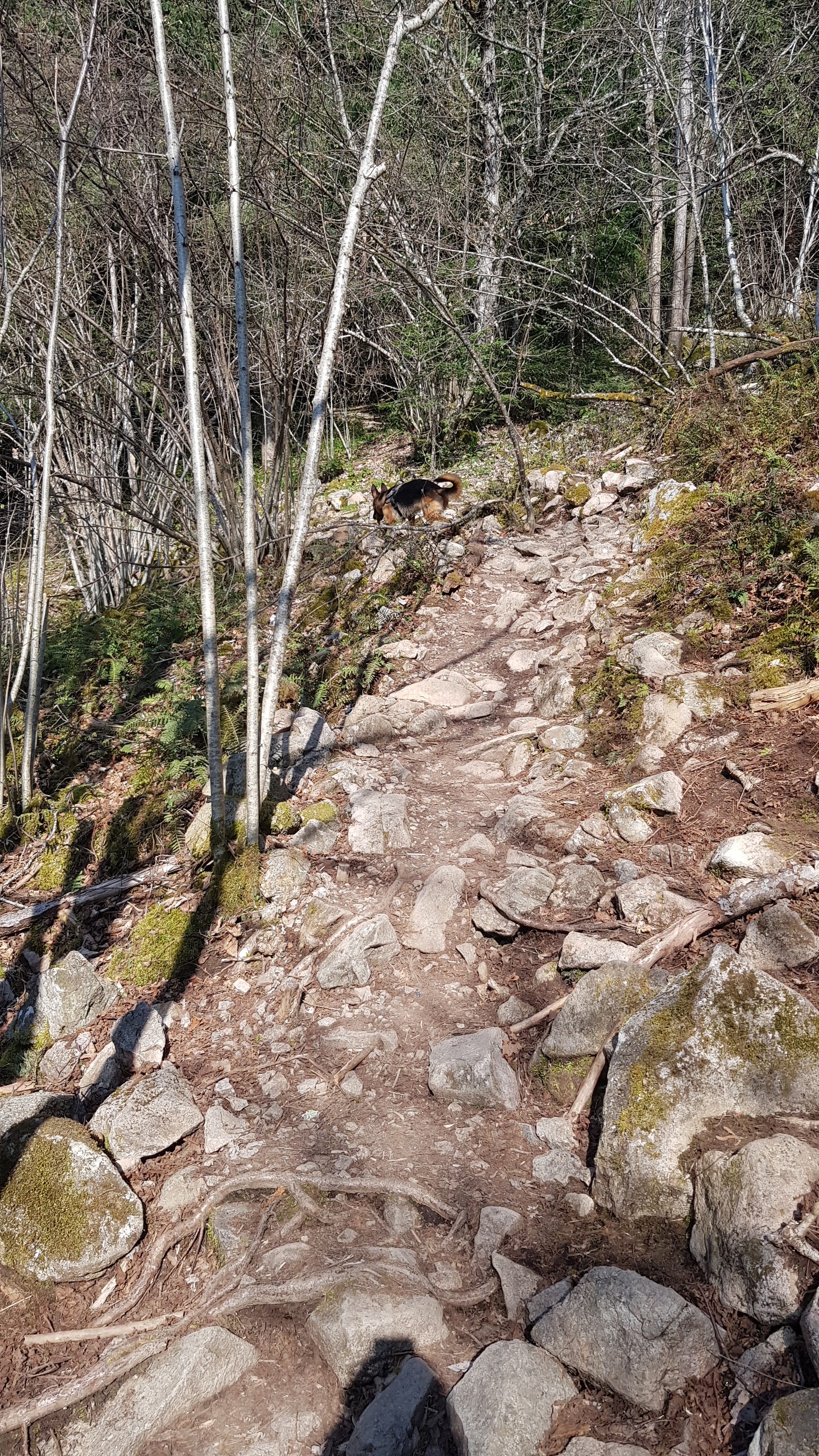 Photo n° 22 de l'avis de Nyko.a fait le 26/03/2022 à 17:25