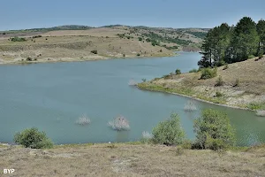 Dam "Druzhba" image