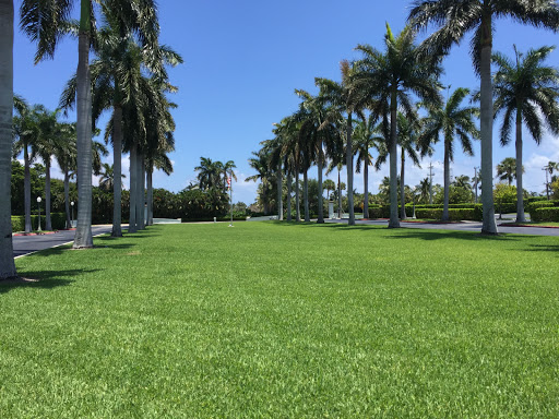 History Museum «Henry Morrison Flagler Museum», reviews and photos, 1 Whitehall Way, Palm Beach, FL 33480, USA