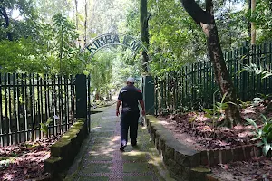 Rimba Ilmu Botanical Garden, University Malaya image