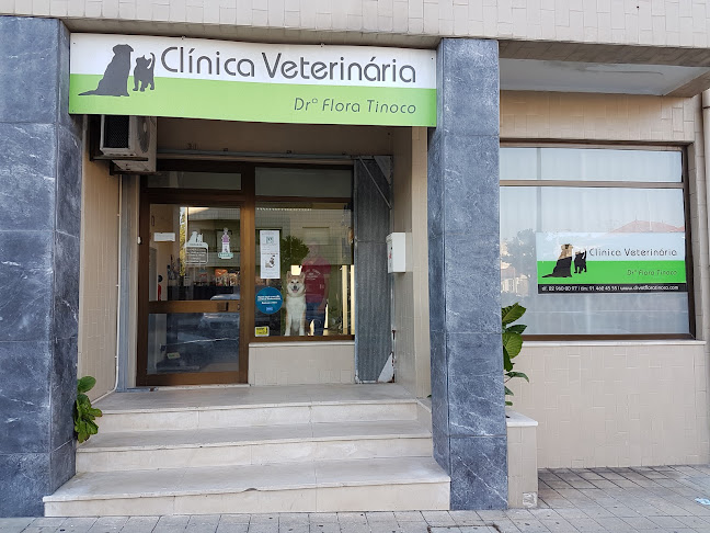 Clinica Veterinaria Drª Flora Tinoco