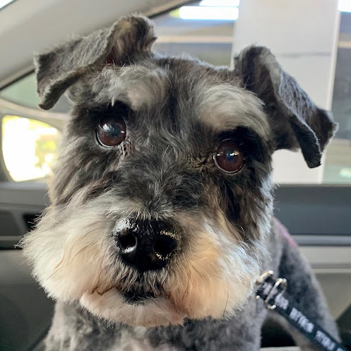 Explore sleeve tattoo idea, creative tattoo ideas in Davis, available at Death or Glory Tattoo