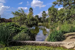 Córdoba Botanical Garden image
