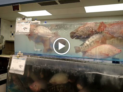 Asian Grocery Store «99 Ranch Market», reviews and photos, 1625 S Azusa Ave, Hacienda Heights, CA 91745, USA