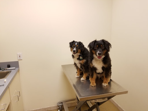 1114 Hempstead Turnpike, Franklin Square, NY 11010, USA