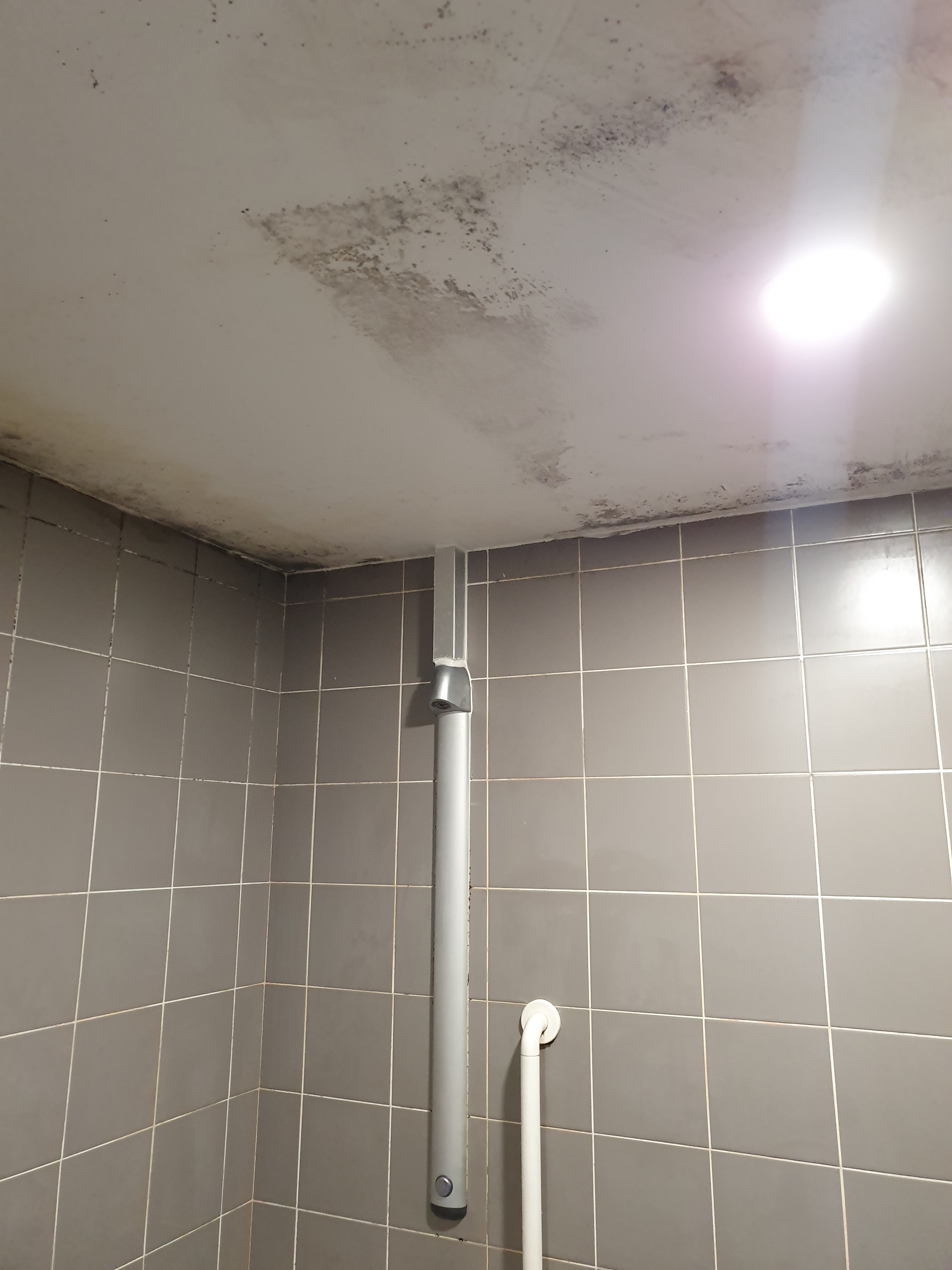 Photo n° 3 de l'avis de Pan.z fait le 18/12/2019 à 06:39