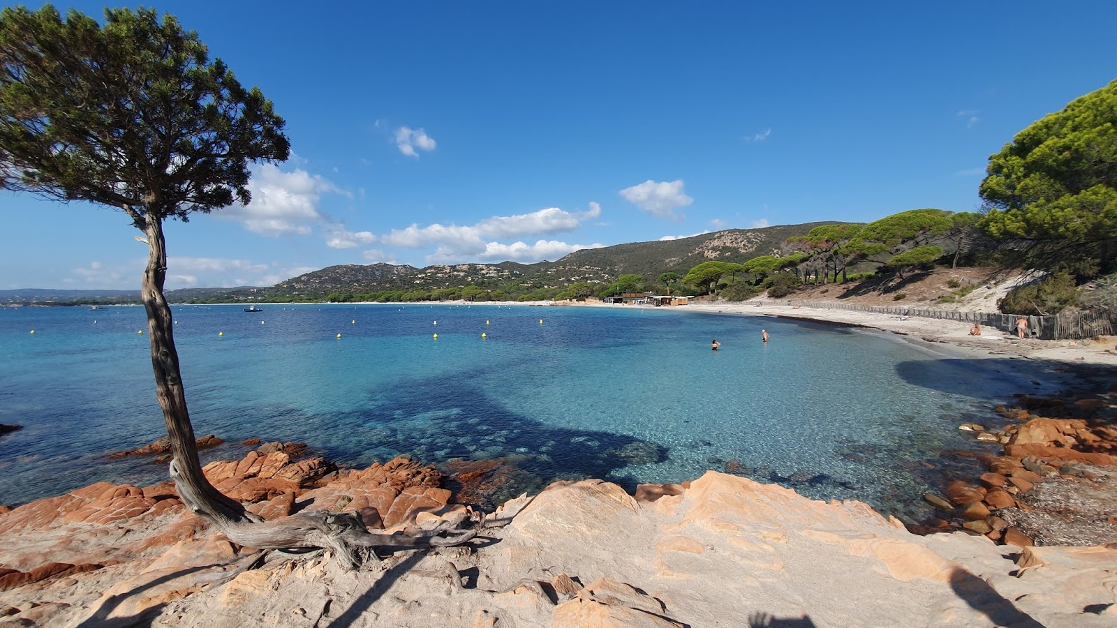 Plage de Palombaggia photo #7