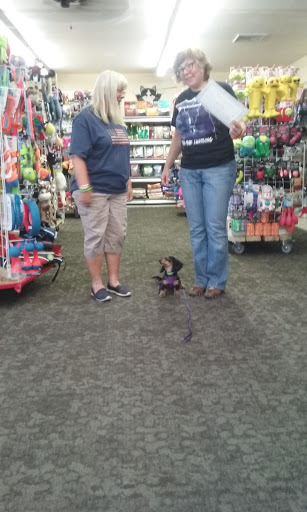 Pet Supply Store «Pet Headquarters», reviews and photos, 501 E Main St B, Palmyra, PA 17078, USA