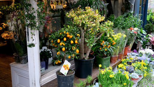 Gainsborough Flowers