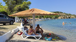 Photo de Evangelistria Beach zone des équipements