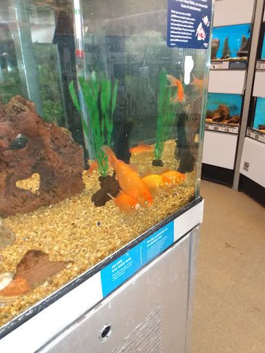 Pet Supply Store «Petco Animal Supplies», reviews and photos, 753 53rd Ave NE, Fridley, MN 55421, USA